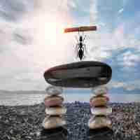 移﻿动﻿端﻿性‍能﻿优﻿化​的​方﻿法‍